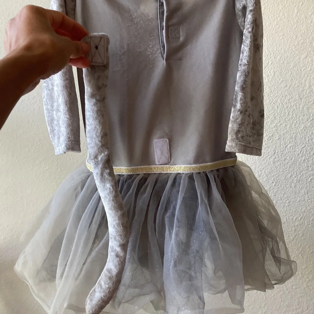 Girls Cat Princess Costume with removable tail